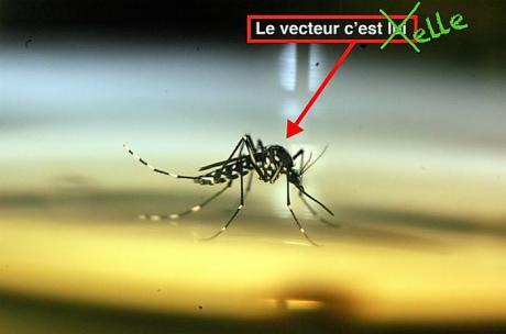 Les d&eacute;territorialisations du vecteur