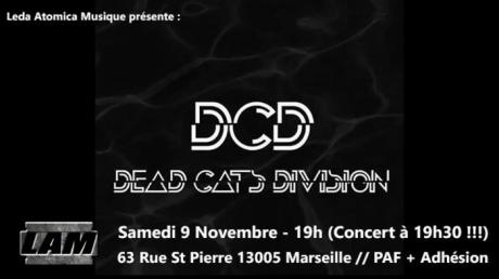 Dead Cat Division