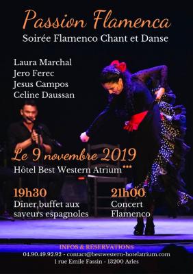 Passion Flamenca