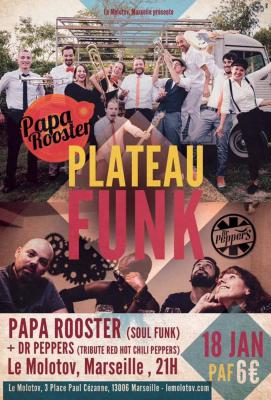 Papa Rooster