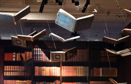 Lectures insolites dans la médiathèque