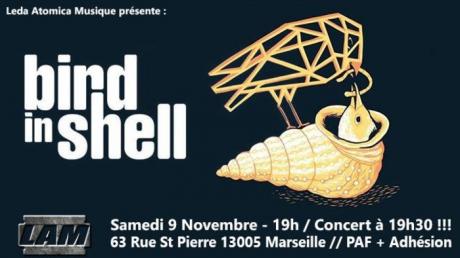 Bird in Shell